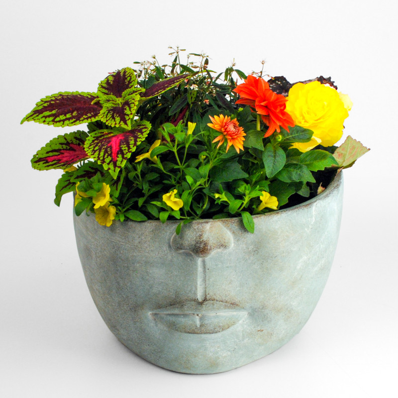 About Face Porch Planter - Same Day Delivery