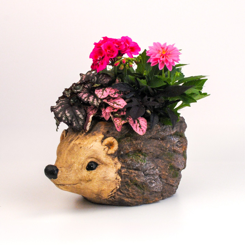 Hedgehog Blooming Porch Planter - Same Day Delivery