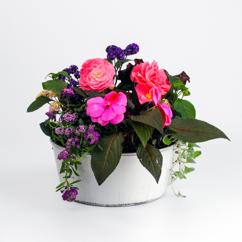 Blooming Bliss Porch Planter - Same Day Delivery