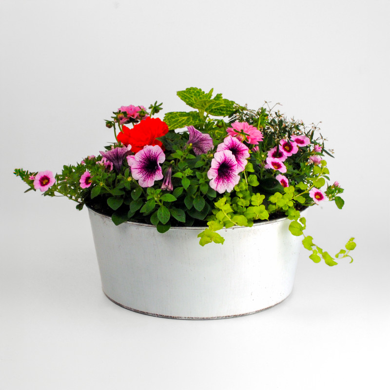 Blooming Bliss Porch Planter Grande - Same Day Delivery