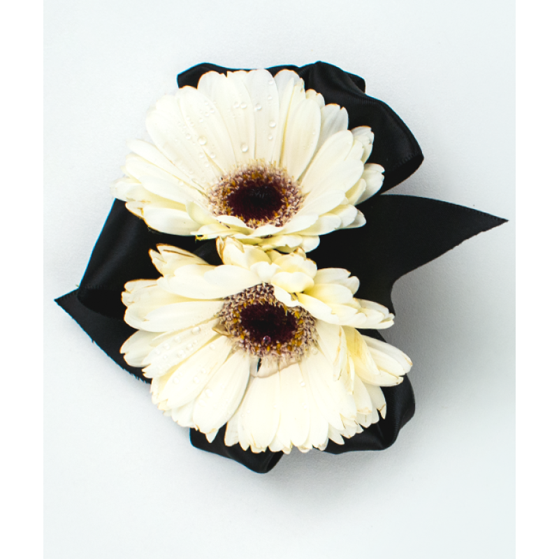 Daisy Craze Corsage - Same Day Delivery