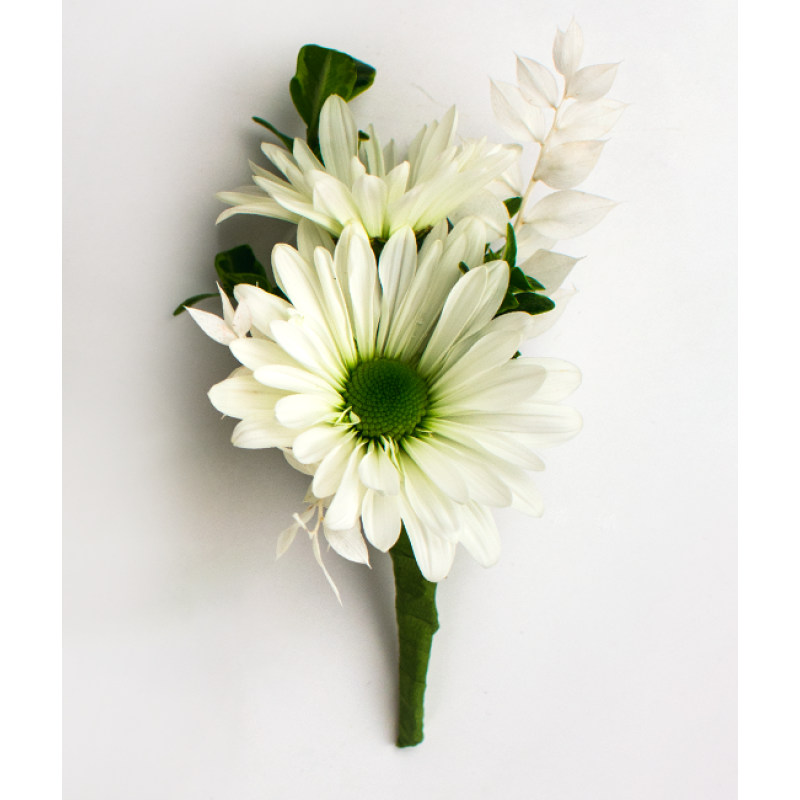 Daisy Delight Boutonniere - Same Day Delivery