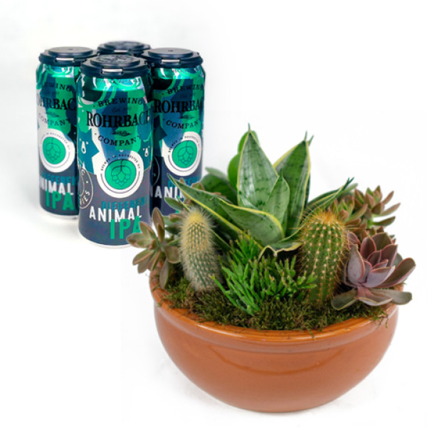 Southwest Succulent Cactus Garden and Different Animal Beer 
