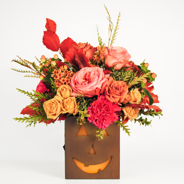 Glowing Jack O Lantern Blush