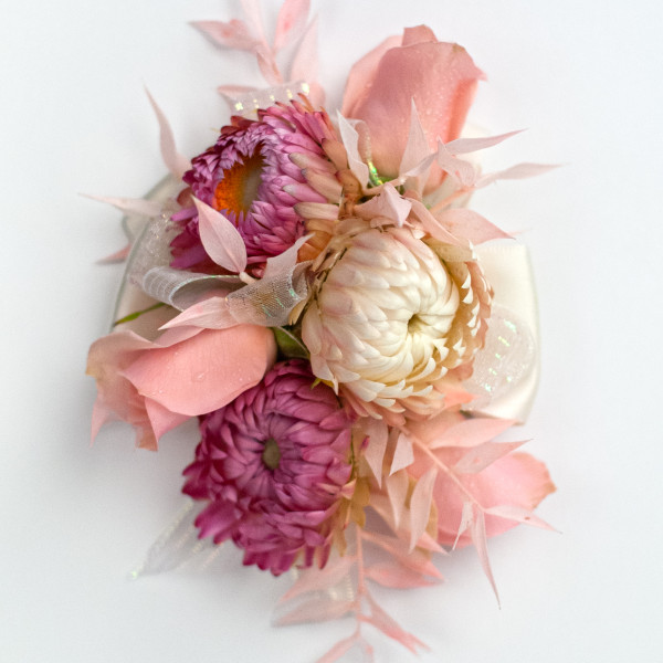 Blush Strawflower and Spray Rose Corsage 