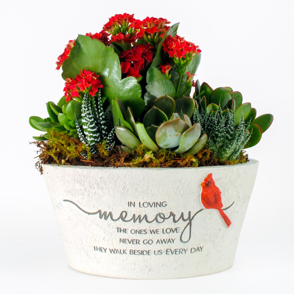 Ever Near Succulent Garden 