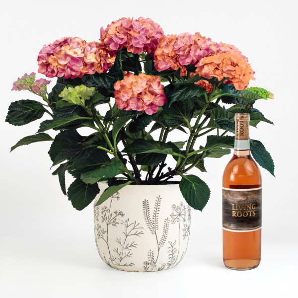 Hydrangea and Rose Harmony 