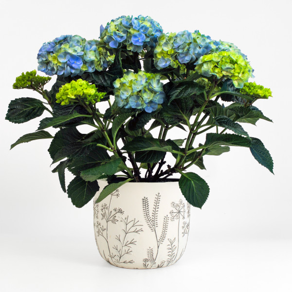 Blue Hydrangea Verdant Planter