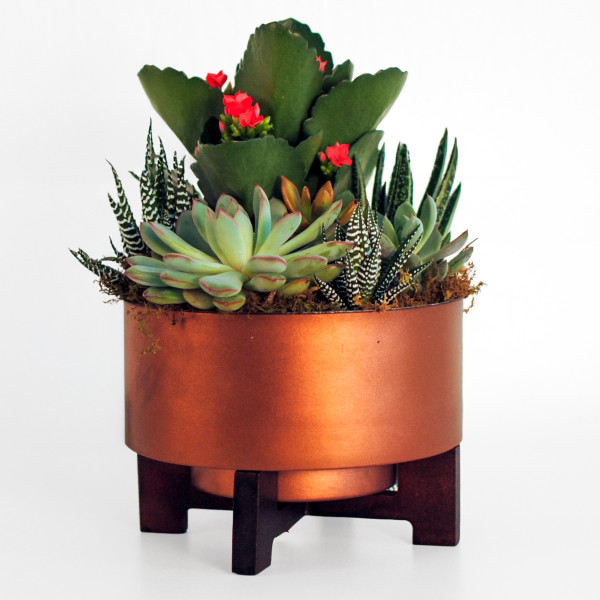 Copper Glow Succulent Garden