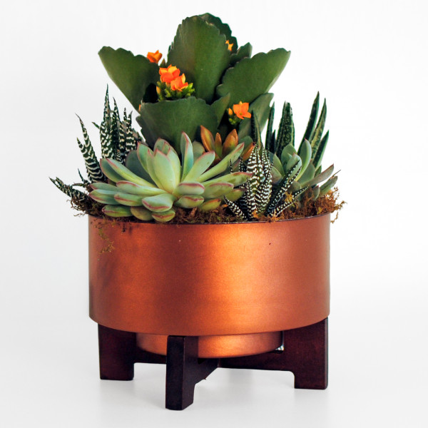 Copper Glow Succulent Garden