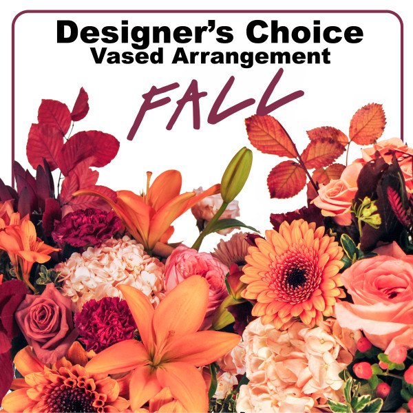 Designer Choice Fall Petite