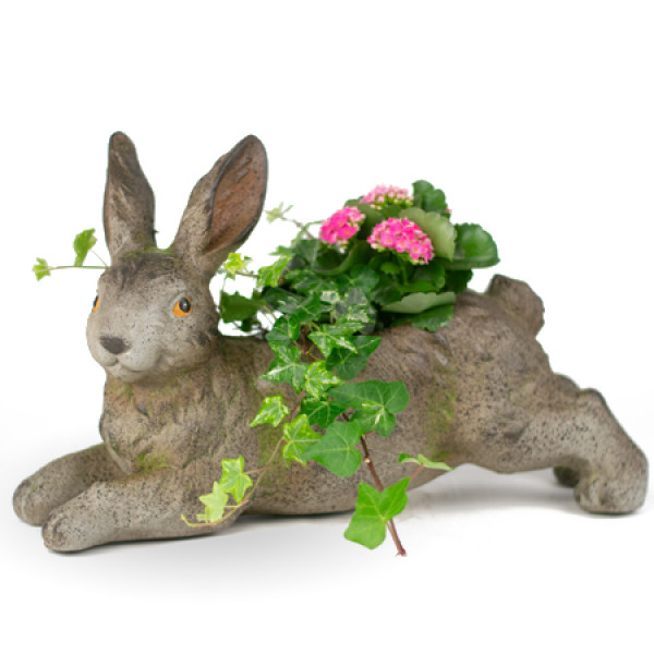 Spring Flowers - Springs Flowers Rochester NY, Spring Flowers ...