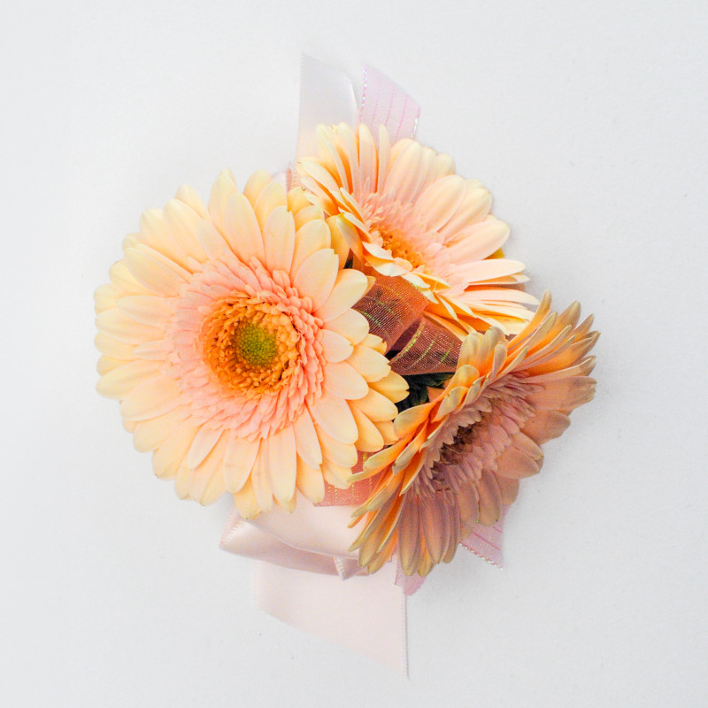 Blush Gerbera Daisy Corsage - Same Day Delivery