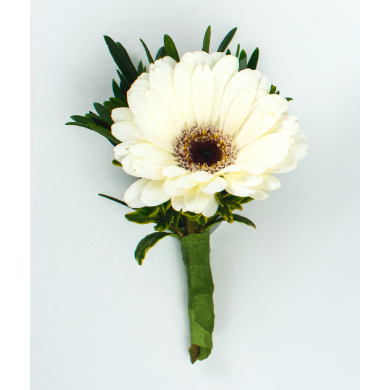 Daisy Craze Boutonniere - Same Day Delivery