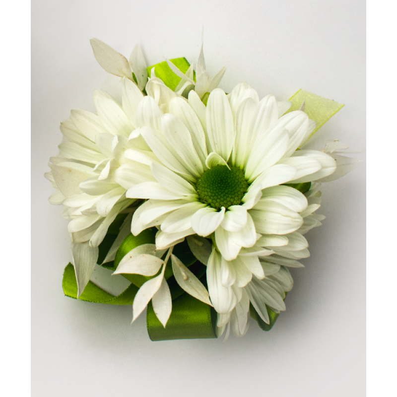 Daisy Delight Corsage - Same Day Delivery