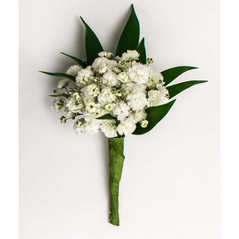 Babies Breath Boutonniere - Same Day Delivery