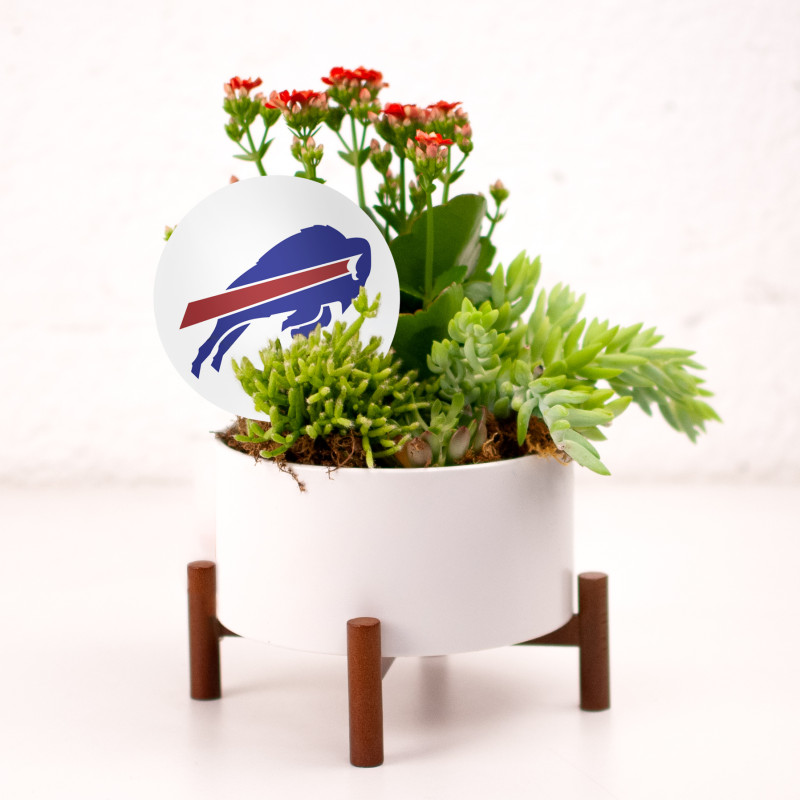 Buff Love Planter - Same Day Delivery