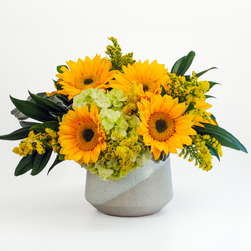 Sunflower Fields Bouquet - Same Day Delivery