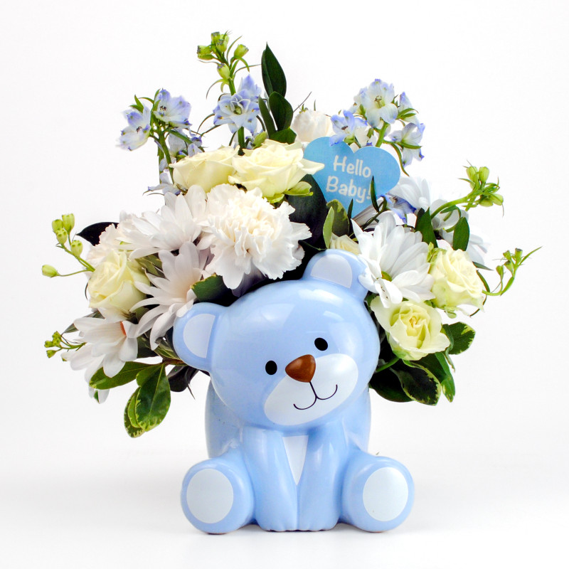 Hello Baby Boy Bear - Same Day Delivery