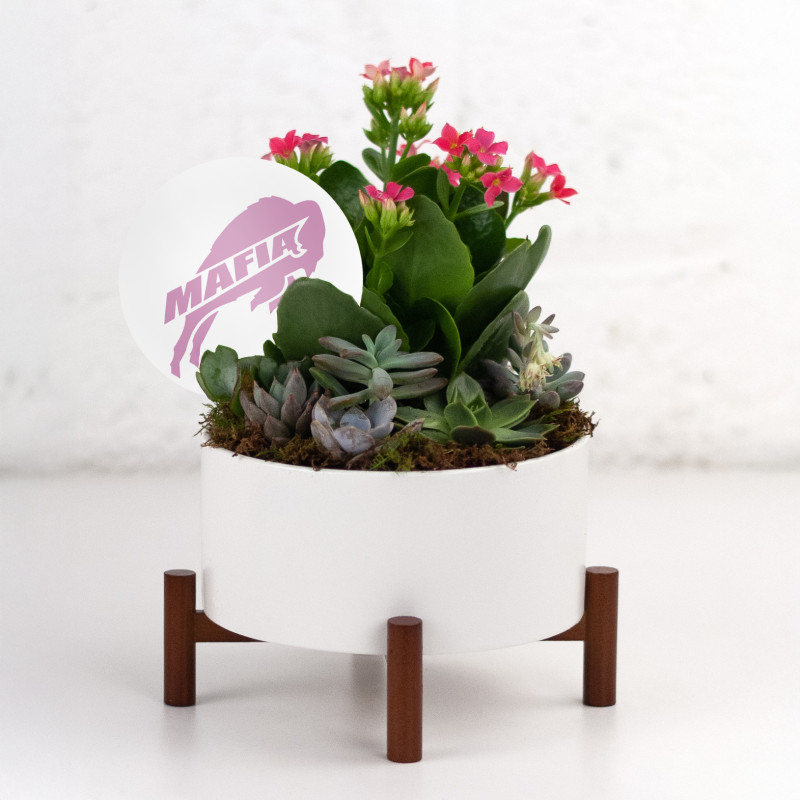 Buffa-love Planter - Same Day Delivery