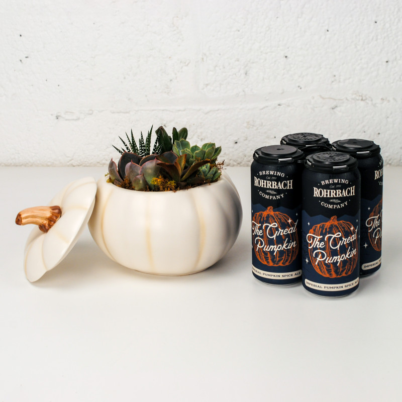 Pumpkin Beer and Planter Duo - Same Day Delivery