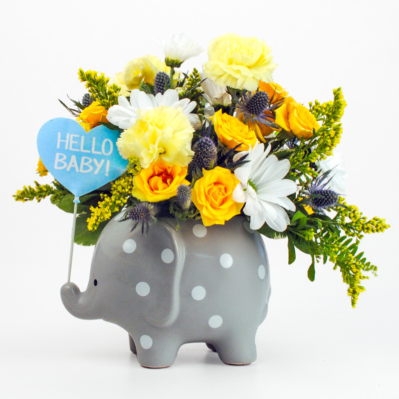 Hello Baby Boy Elephant - Same Day Delivery