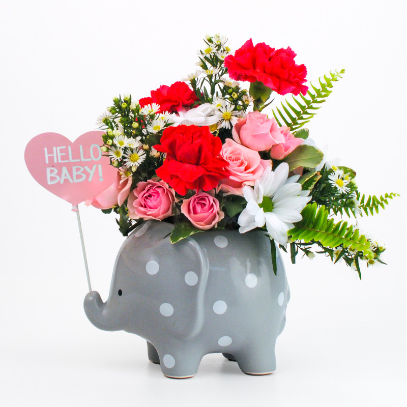 Hello Baby Girl Elephant - Same Day Delivery
