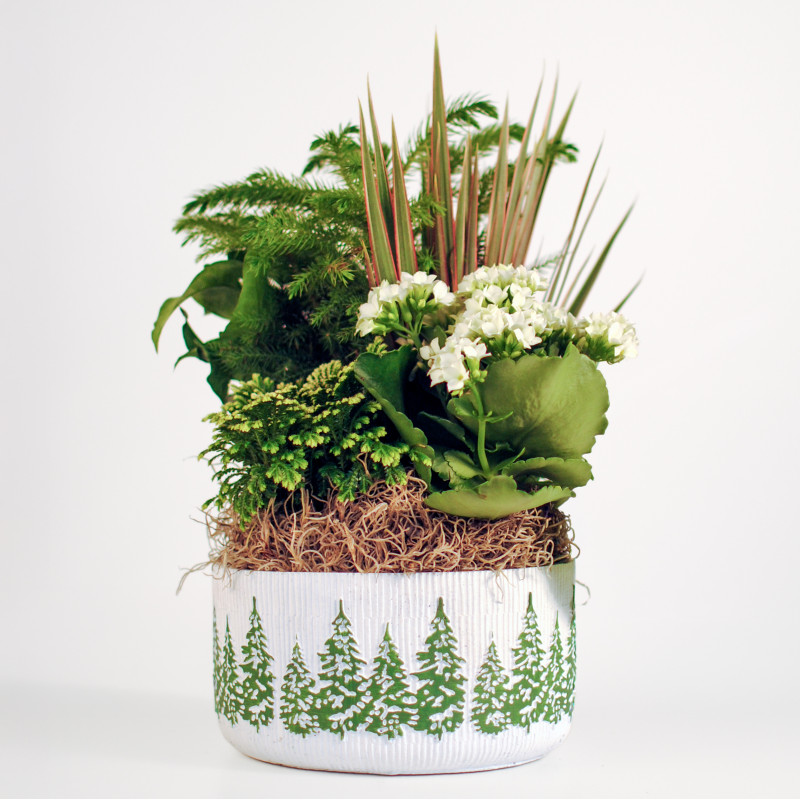 Frosted Pines Holiday Garden - Same Day Delivery