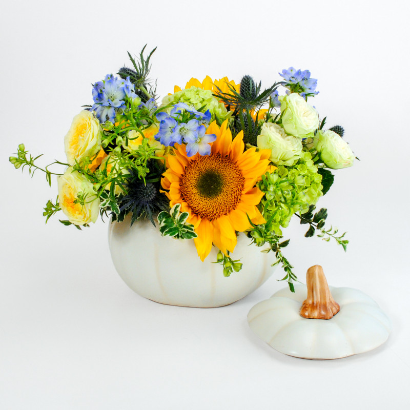 Enchanted Pumpkin Bouquet  - Same Day Delivery