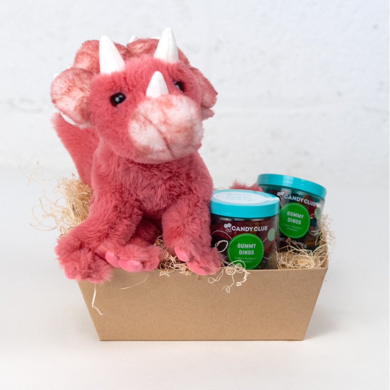 Tracie the Dinosaur and Gummie Basket - Same Day Delivery