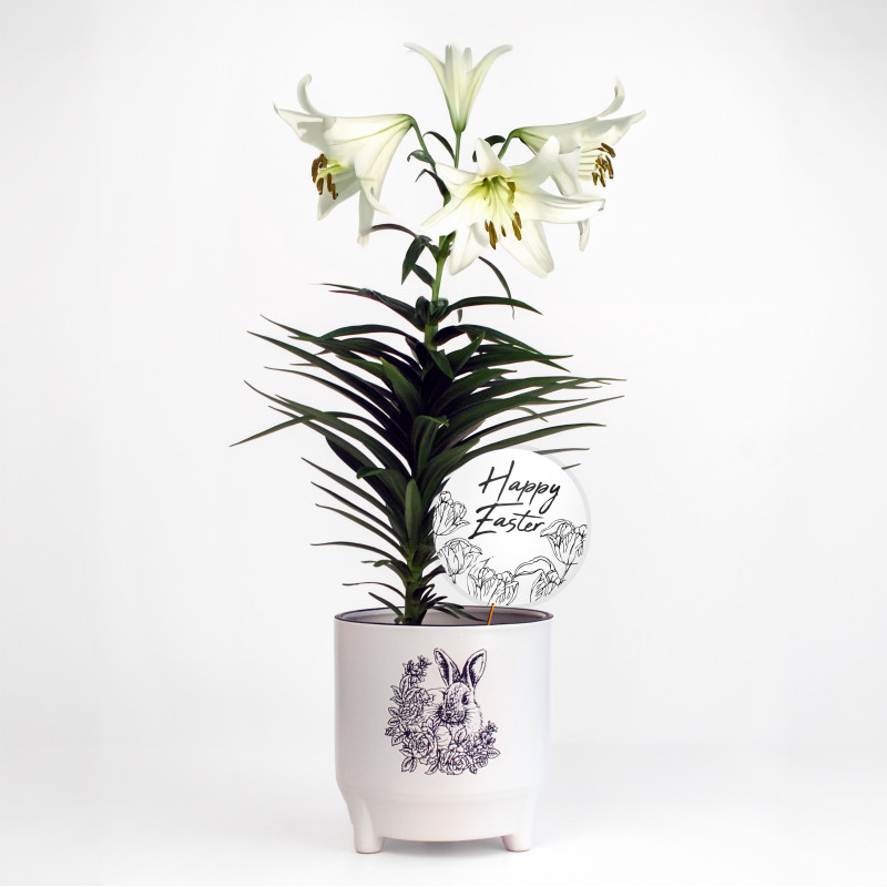 Easter Lily Garden Planter - Same Day Delivery