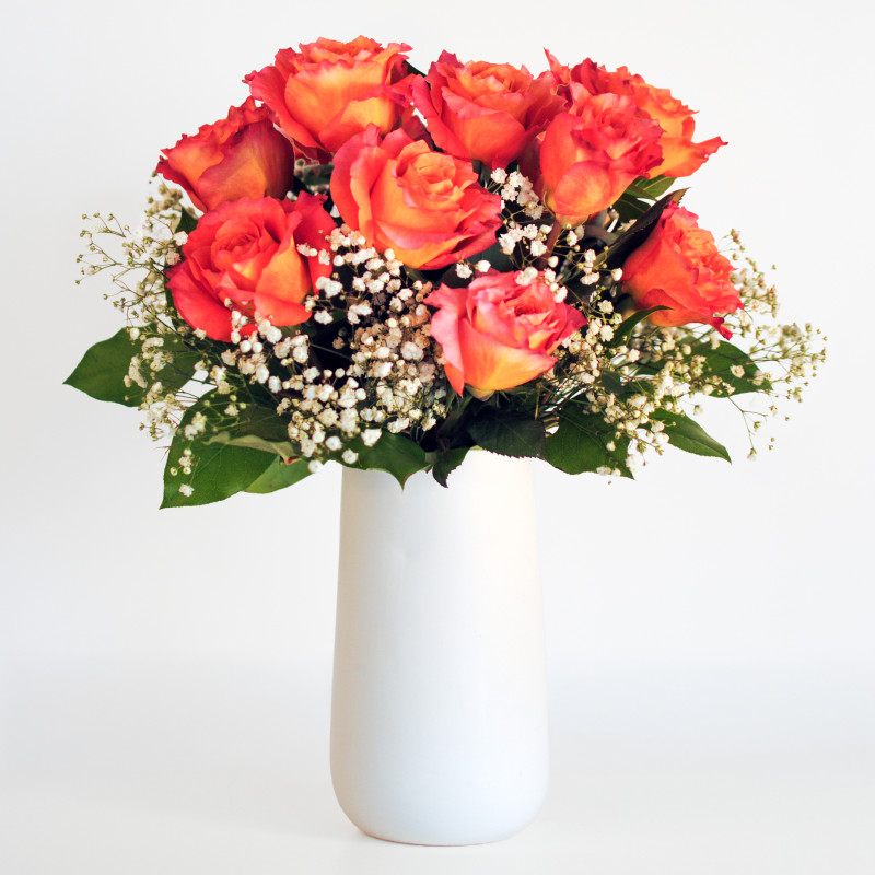 Modern Love Free Spirit Dozen - Same Day Delivery