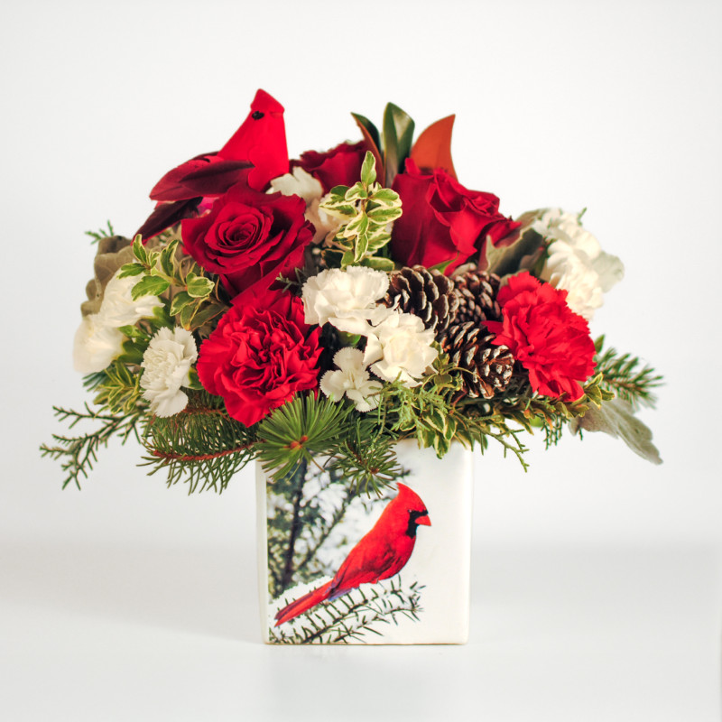 Merry Cardinal Wishes - Same Day Delivery