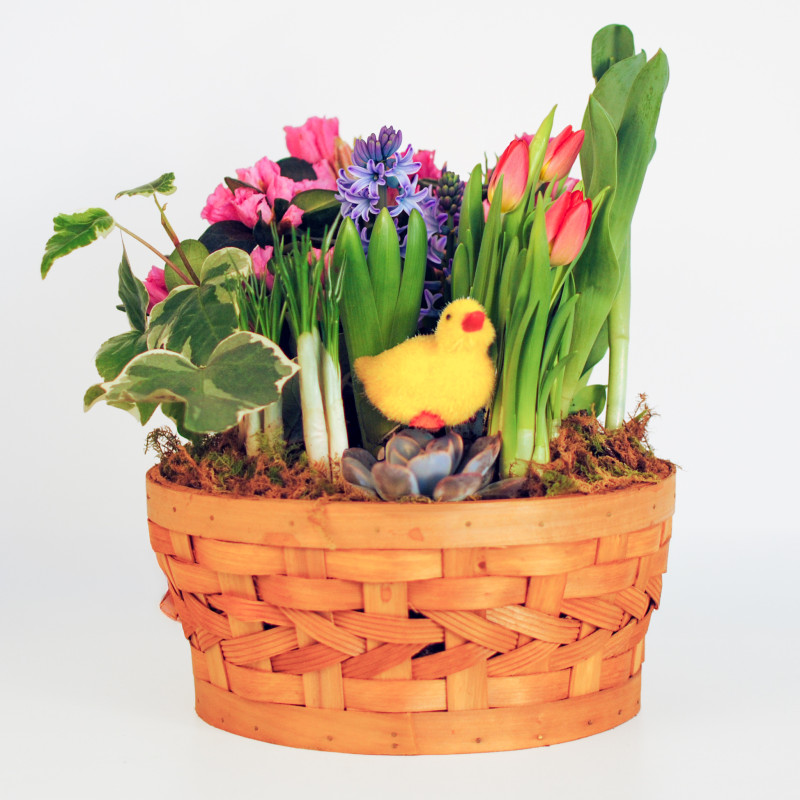 Sweet Peep Spring Garden - Same Day Delivery
