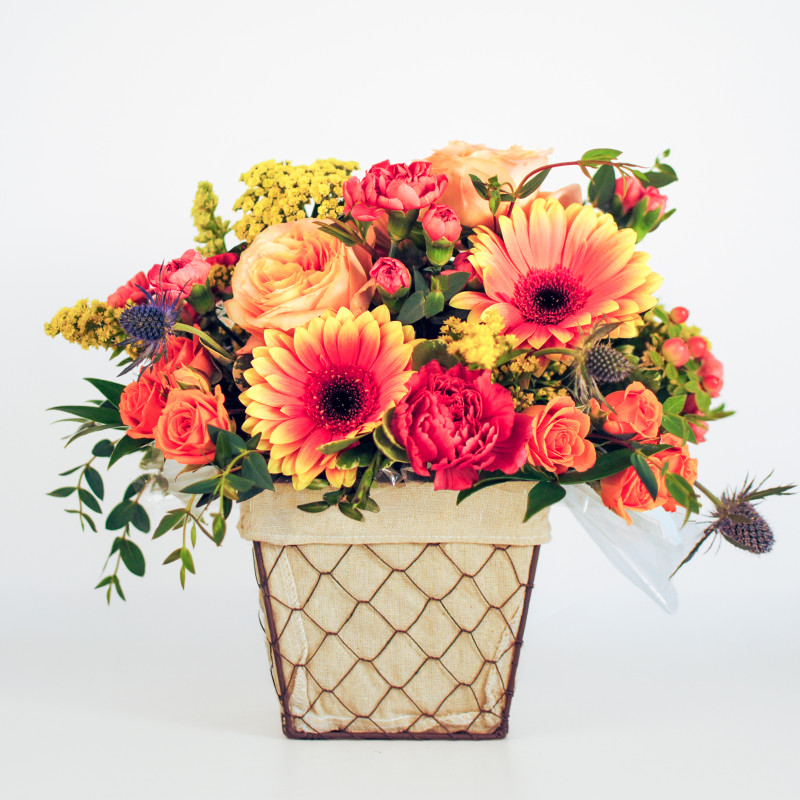 Morning Mimosa Bouquet - Same Day Delivery