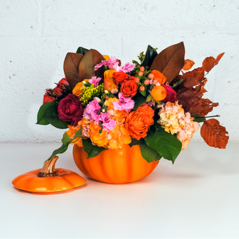 Pumpkin Posy Bouquet - Same Day Delivery