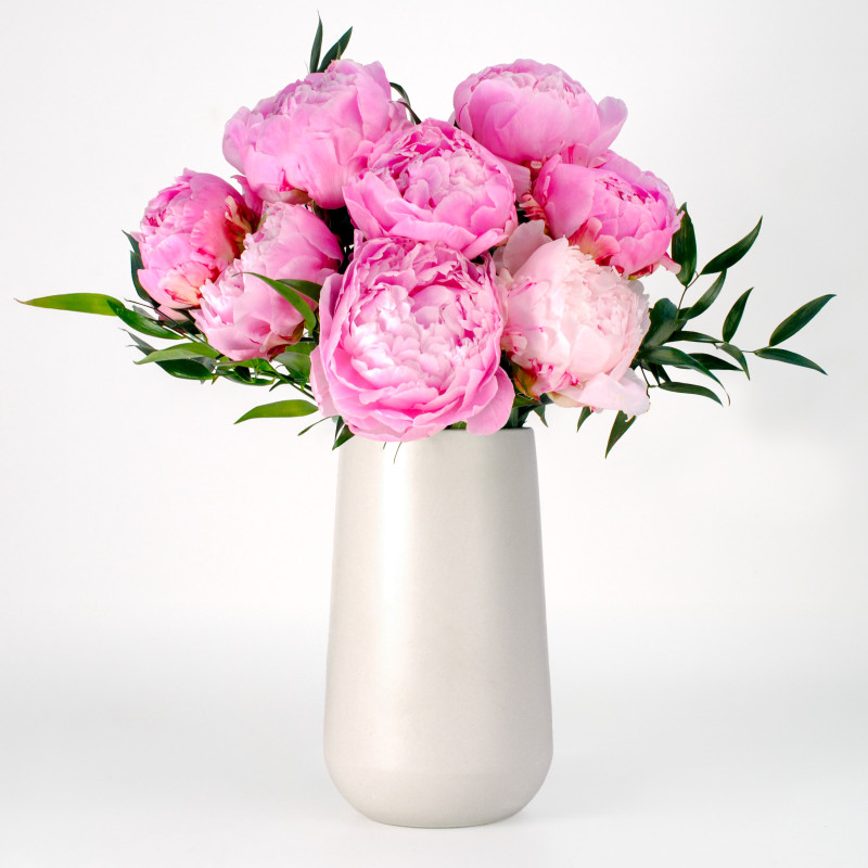Perfect Peonies Bouquet - Same Day Delivery