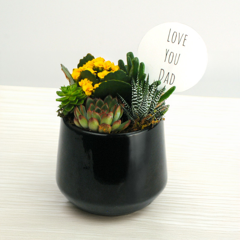 Love You Dad Succulent Planter - Same Day Delivery