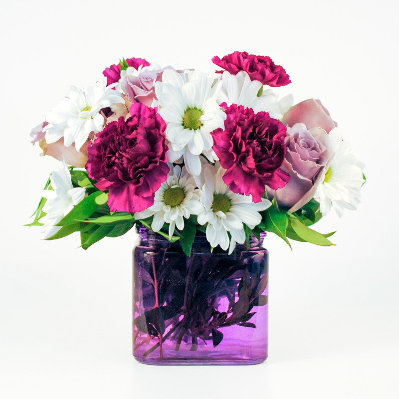 Daisy Dream Bouquet - Same Day Delivery