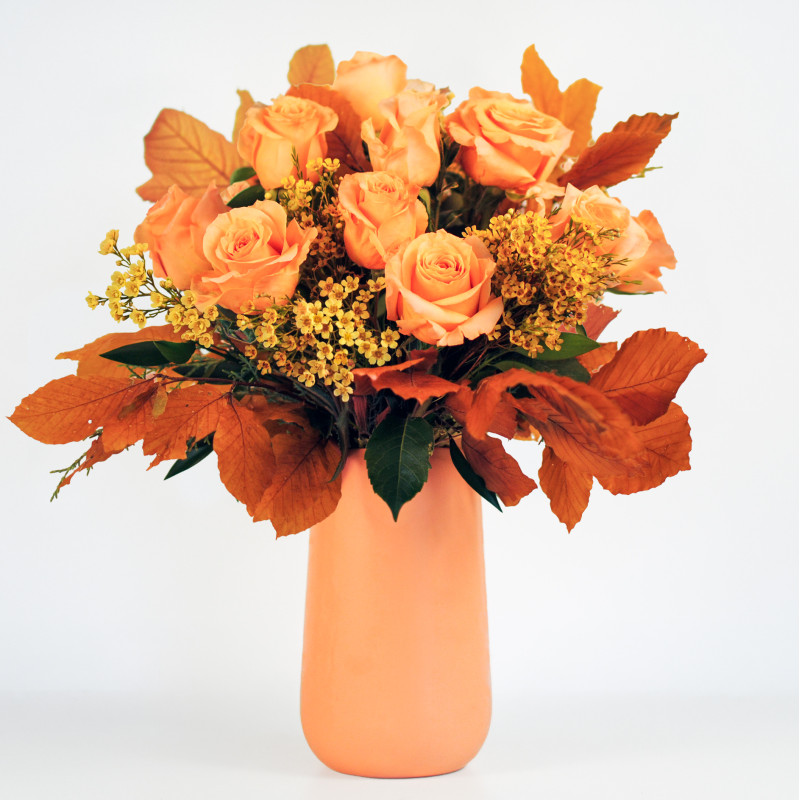 Pumpkin Spice Rose Bouquet - Same Day Delivery