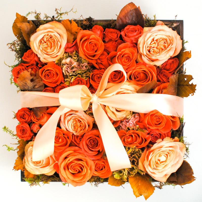 Autumn Pop Garden Luxe Box - Same Day Delivery