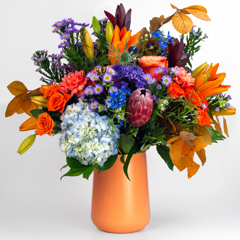 Harvest Harmony XL - Same Day Delivery