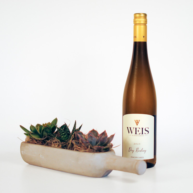 Sips and Succulent Collection - Same Day Delivery