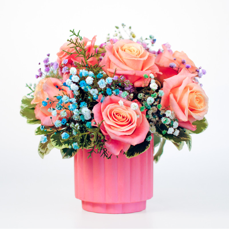 Rainbow Rose Bouquet Coral - Same Day Delivery