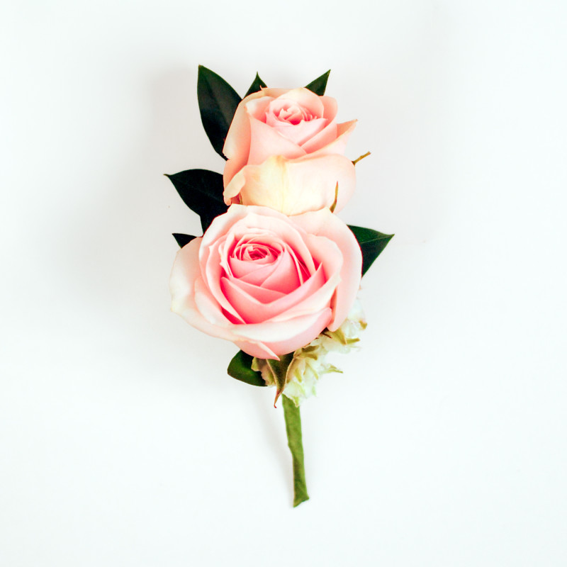 Blushing Elegance Boutonniere - Same Day Delivery