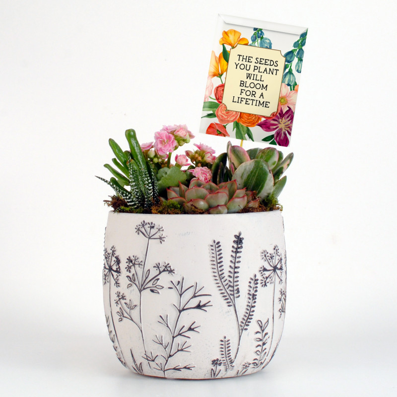 Seeds of Inspiration Planter - Same Day Delivery