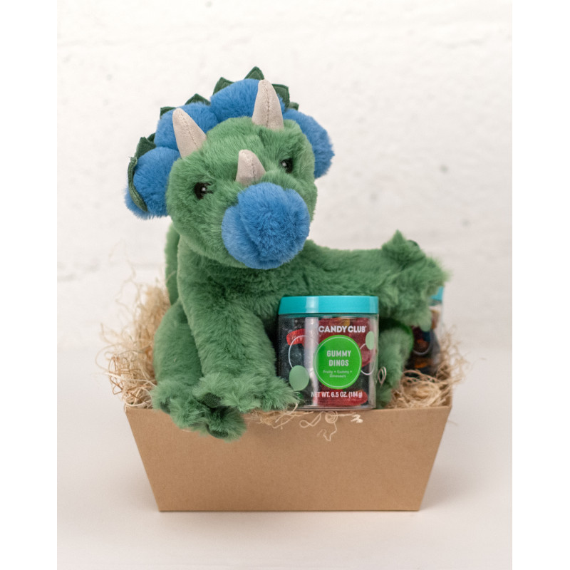 Roarie the Dinosaur and Gummie Basket - Same Day Delivery