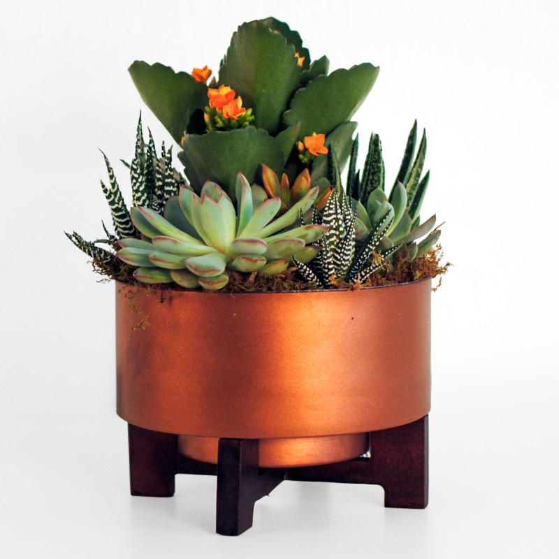 Copper Glow Succulent Garden - Same Day Delivery