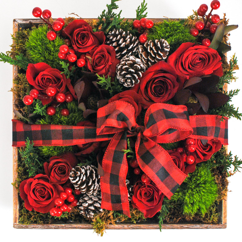 Christmas Garden Luxe Box - Same Day Delivery