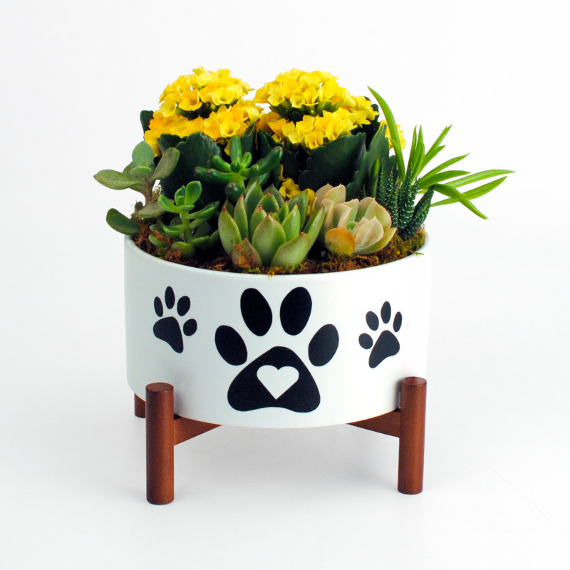 Paws for Love Planter - Same Day Delivery